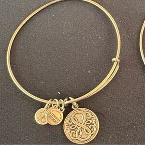 💚Alex and Ani Silver Bangle Bracelet with Charm
